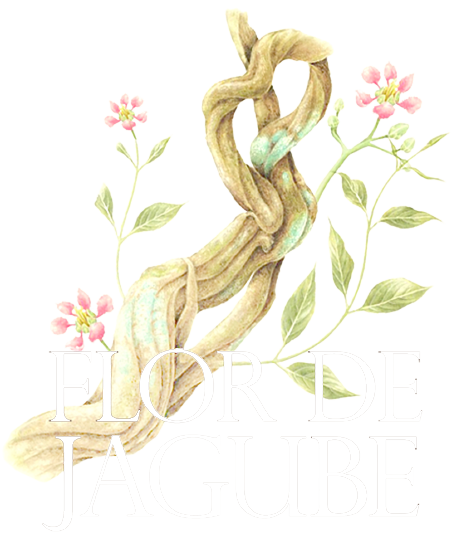 História do Santo Daime